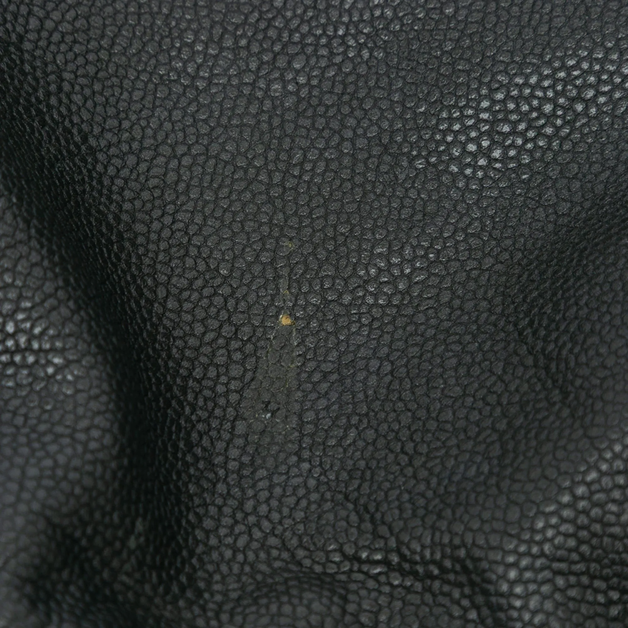 Caviar 31 Hobo Bag