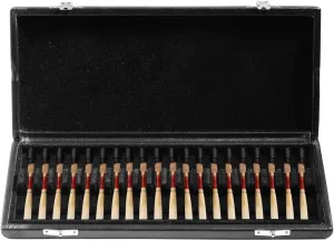 Leather Holder For Clarinet And Tenor Saxophone, Holds 20 S In Protective Case