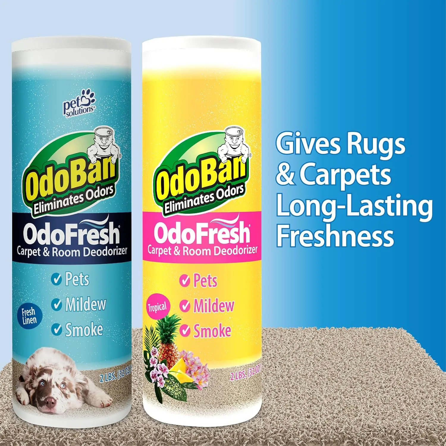 OdoBan OdoFresh Carpet and Room Deodorizer Powder for Home Smells and Odors Including Smoke, Pet Urine, Dogs, and Cat Litter, Tropical Scent, 2 Pounds