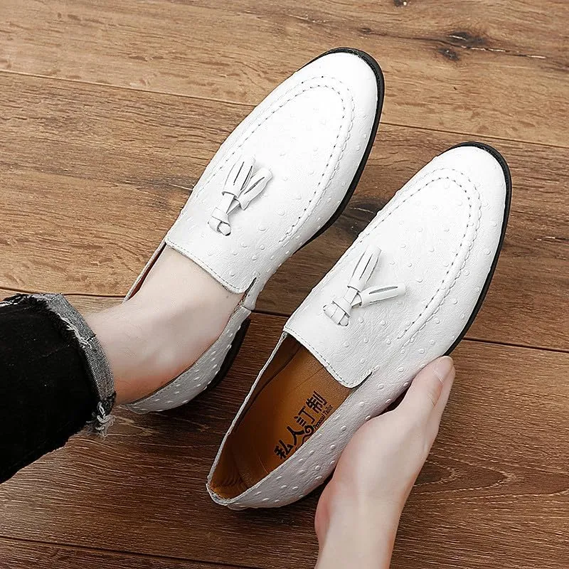 Santimon Men's Leather Loafers Classic Slip-on Tassel Loafers for Men Business Casual Dress Moccasin Shoes