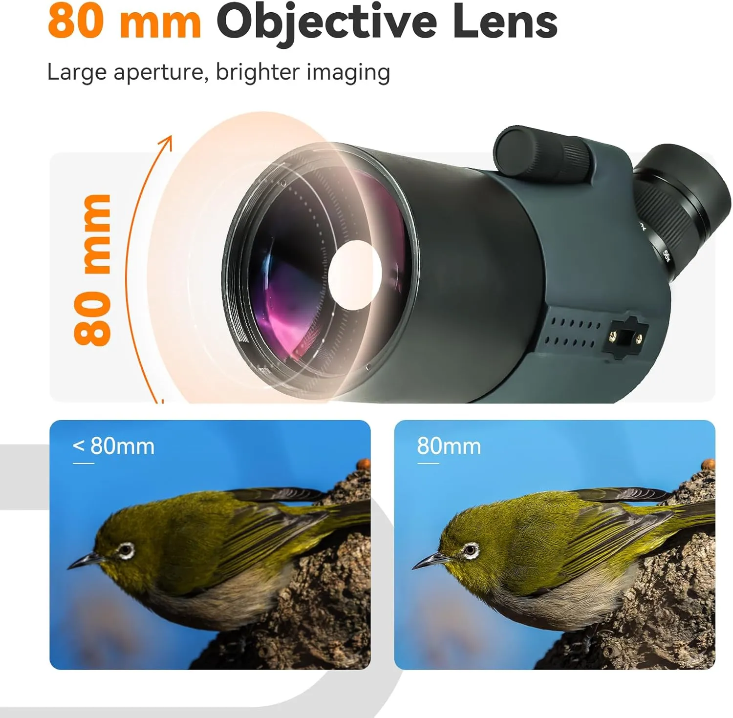 SVBONY SV41Pro Spotting Scope, Mak Telescope with FMC Coating &1.25" Detachable Eyepiece,28-84x80mm Scope with SC001 WiFi Camera & Tabletop Tripod for Digiscoping, Visual Observation, Photography