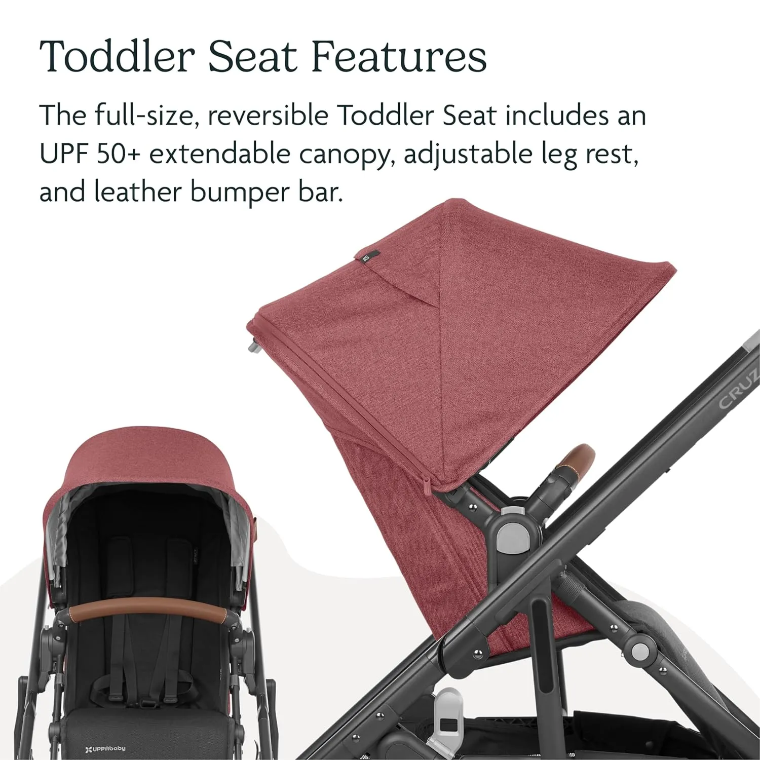 UPPAbaby Cruz V2 Stroller/Full-Featured Stroller with Travel System Capabilities/Toddler Seat, Bumper Bar, Bug Shield, Rain Shield Included/Jake (Charcoal/Carbon Frame/Black Leather)